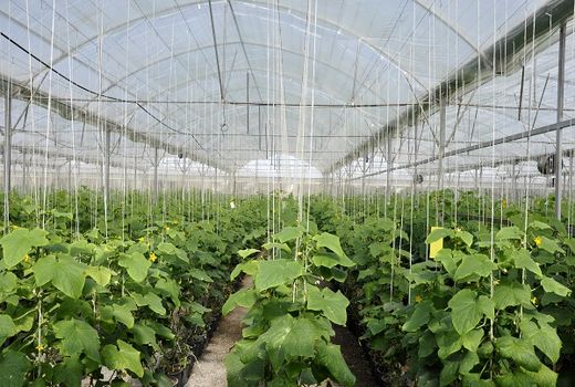 کوتاه کردن روال دریافت جواز تاسیس، باعث ترغیب و تشویق سرمایه گذاران و ایجاد اشتغال در سال رونق تولید است