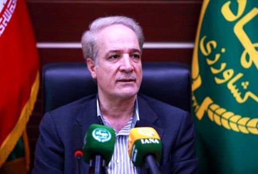 بالغ بر ۱۵۰ میلیون قطعه جوجه‌ریزی در تیر ماه ثبت شد/ عرضه فوری و گسترده ذرت، کنجاله سویا و جو در بازارگاه