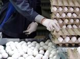 قیمت جدید مرغ و تخم‌مرغ تا پایان فروردین سال آینده تثبیت می‌شود