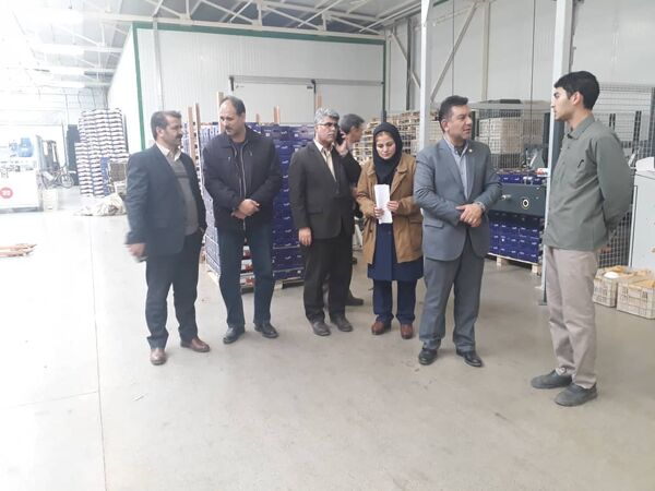 دستور العمل اعطای نشان استاندارد در حال تدوین است