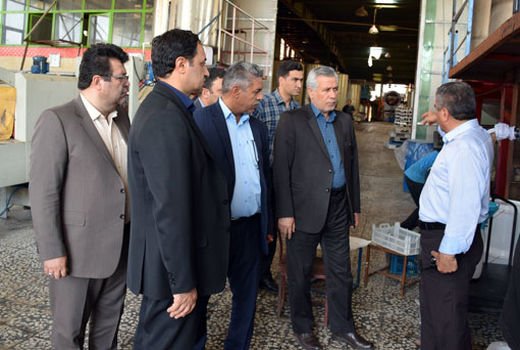 خرید 1700 تن گوجه فرنگی به منظور حمایت از کشاورزان آذربایجان شرقی