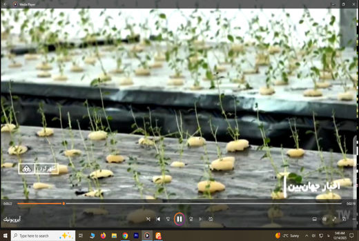 کشت سیب زمینی  به روش آیروپونیک در استان چهارمحال و بختیاری 