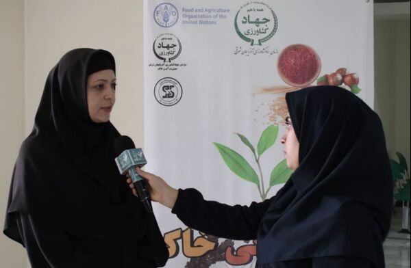 مصرف بی رویه سموم با افزایش میزان کلوئیدهای خاک ، بر عملکرد محصول تاثیر منفی می گذارد