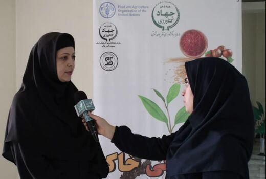 مصرف بی رویه سموم با افزایش میزان کلوئیدهای خاک ، بر عملکرد محصول تاثیر منفی می گذارد