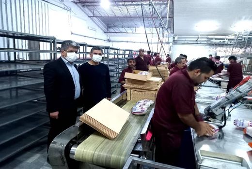 آغاز خرید مرغ مازاد مرغداران توسط شرکت پشتیبانی امور دام استان قزوین