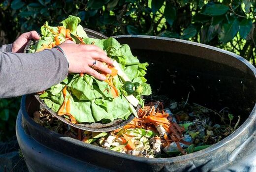 تبعات سنگین ضایعات غذایی برای دنیا