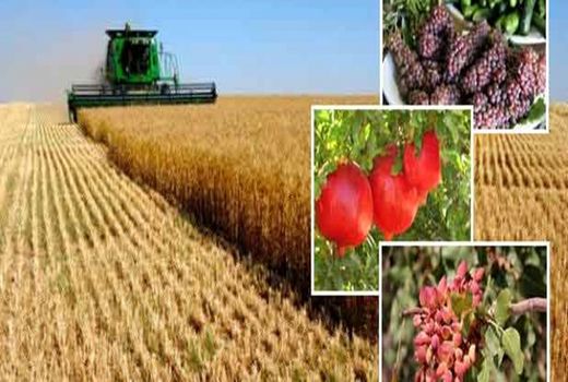 ۱۰۰ برنامه موبایلی برای کشاورزان امروز رونمایی شد