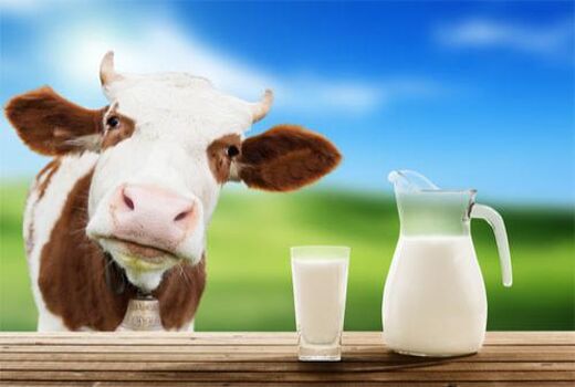 93 هزار تن شیر و گوشت قرمز در آمل تولید شد