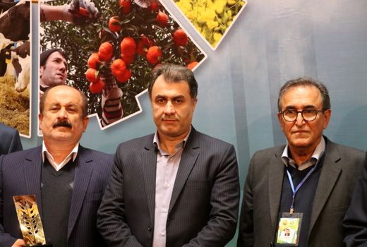 رونق تولید با همت پیشگامان عرصه کشاورزی گیلان