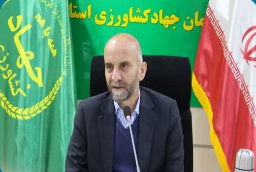 توسعه صادرات عسل با دریافت سیب سلامت