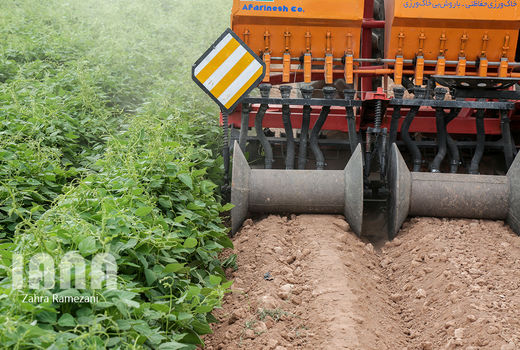 کاهش 4 میلیون تومانی هزینه‌های کشت در هر هکتار