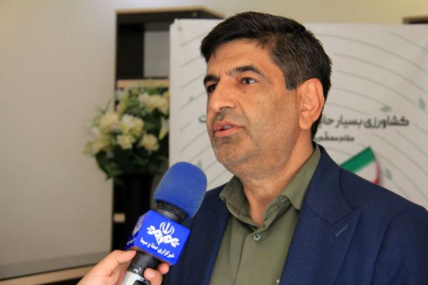 طرح جهش تولید در دیمزارها/ راهکاری برای افزایش بهرهوری و بهبود معیشت کشاورزان