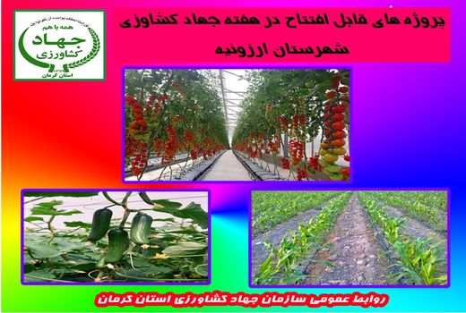 بهرع‌برداری از 15 طرح کشاورزی و آب وخاک در شهرستان ارزوئیه در هفته جهاد کشاورزی