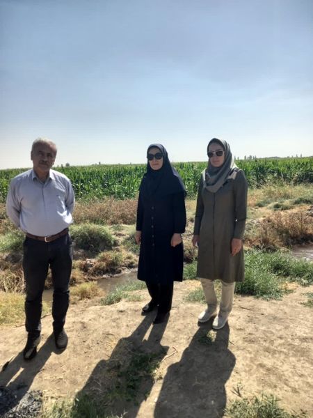 بازدید کارشناسان فنی محیط زیست و سلامت غذا جهاد کشاورزی از تصفیه خانه شهرصنتی البرز