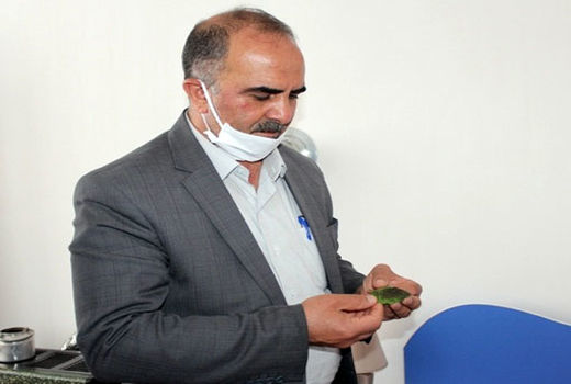 احداث توتستان و حمایت از  نوغانداری و پرورش کرم ابریشم در دستور کار مدیریت جهادکشاورزی شهرستان  مرند