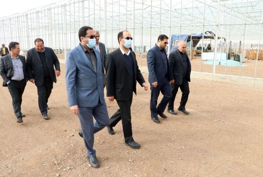 بازدید بازرس کل استان قزوین از روند احداث یک مجتمع صنایع غذایی و گلخانه در آبیک