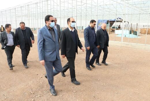 بازدید بازرس کل استان قزوین از روند احداث یک مجتمع صنایع غذایی و گلخانه در آبیک