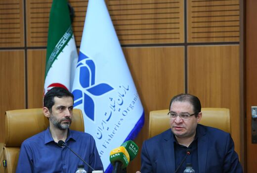 گذار از حکمرانی عمودی به افقی / دولت شبکه‌ «از مرز تا مرکز» را عملیاتی می‌کند