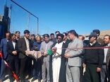 بهره‌برداری از طرح ۵۰۰ راسی پرواربندی بره در شهرستان دلفان