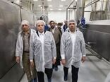 بازدید وزیر جهاد کشاورزی از کارخانه مانی بناب