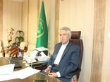 پیش بینی برداشت 2500 تن دانه روغنی کلزا در اراضی شهرستان کرمانشاه