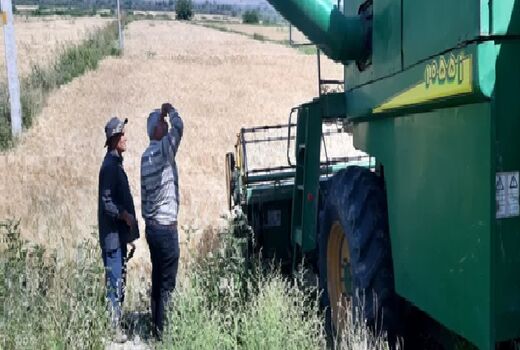 آغاز برداشت جو از 3 هزار و 425 هکتار اراضی کشاورزی در خداآفرین