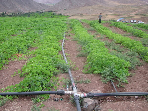 41 هزار متر لوله در روستاهای شهرستان قزوین توزیع شد  