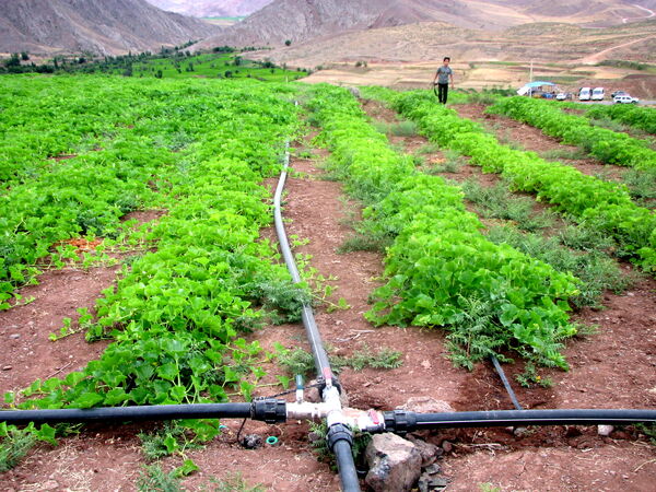 41 هزار متر لوله در روستاهای شهرستان قزوین توزیع شد  