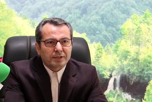 تخصیص 100 هزار تن نهاده جو به دامداران عشایری تا پایان دی‌ماه