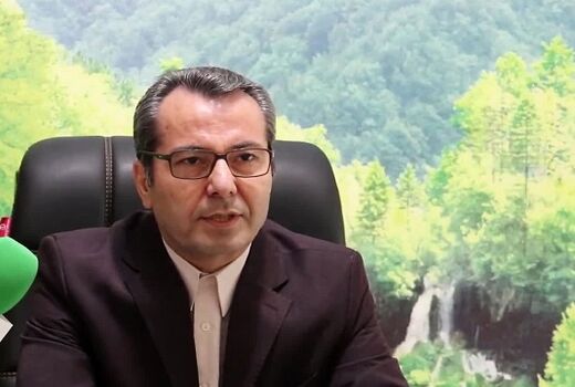 تخصیص 100 هزار تن نهاده جو به دامداران عشایری تا پایان دی‌ماه