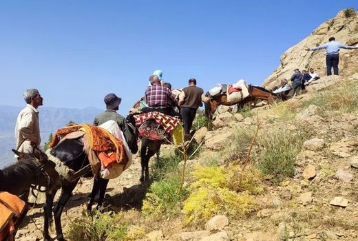 آغاز کوچ بهاره عشایر در استان قزوین