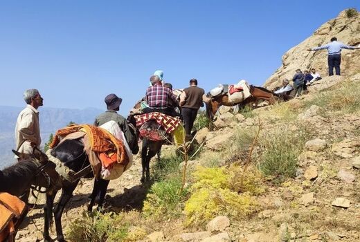 آغاز کوچ بهاره عشایر در استان قزوین