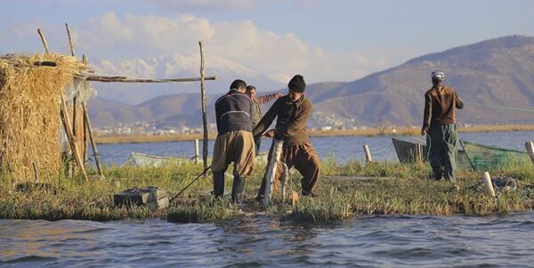 رهاسازی بچه ماهی تثبیت کننده آب زریوار