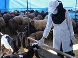 اجرای فاز دوم واکسیناسیون تب برفکی در شهرستان شهربابک