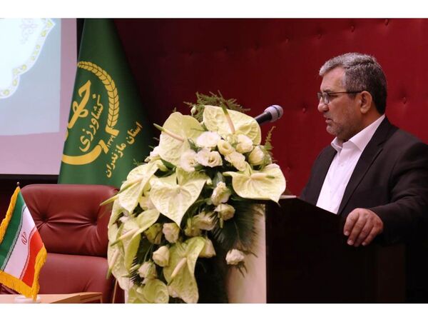 اصلاح ارقام باغی در مازندران نیازمند تجدیدنظر است