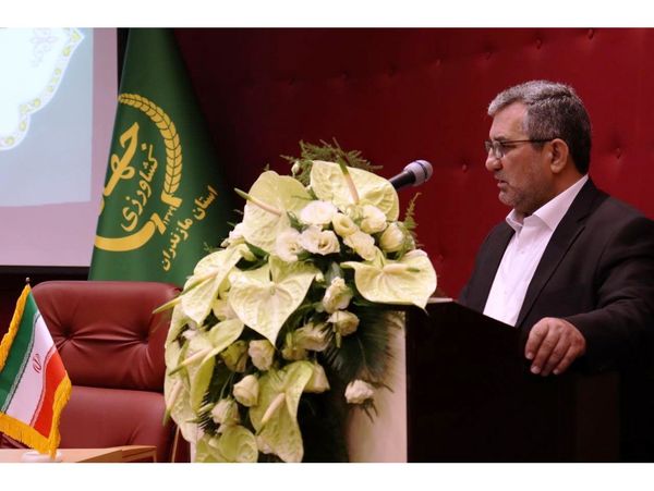 اصلاح ارقام باغی در مازندران نیازمند تجدیدنظر است