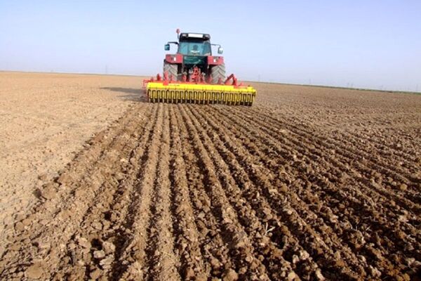برنامه جهش تولید در دیمزارهای قزوین ۷۶ درصد محقق شده است