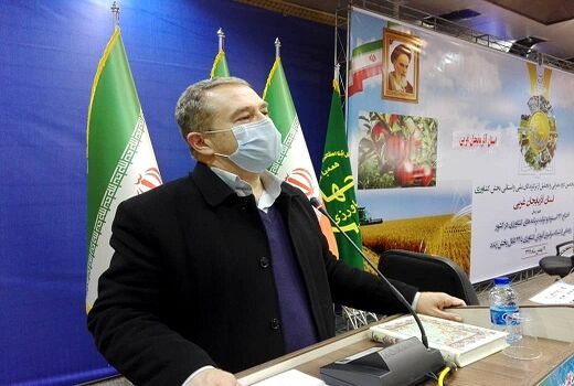 سهم 38 درصدی بخش کشاورزی در ایجاد اشتغال آذربایجان غربی