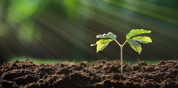  استفاده از میکروب‌های مهندسی‌ شده در کشاورزی