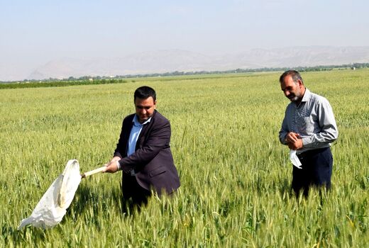 سطح مبارزه با آفات و بیماری‌ها در شهرستان شیروان