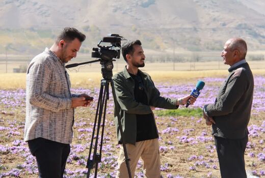 کشت زعفران؛ راهکاری برای مقابله با بحران آب در استان چهارمحال وبختیاری