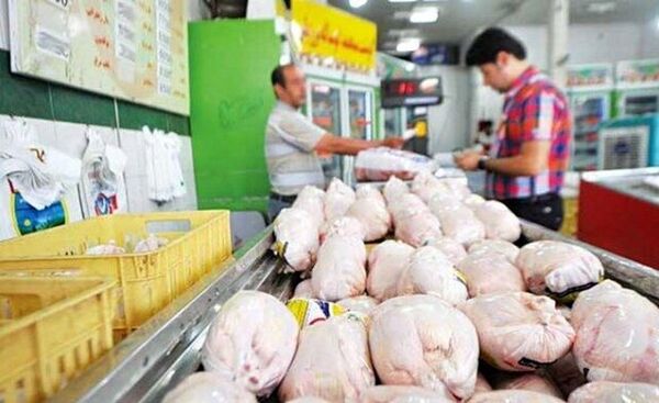 شرط اصلی ایجاد ثبات در بازار مرغ، نظارت جدی بر روند توزیع و عرضه در بازار است