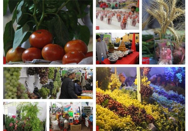 مسیر هموار توسعه صنایع غذایی در همدان