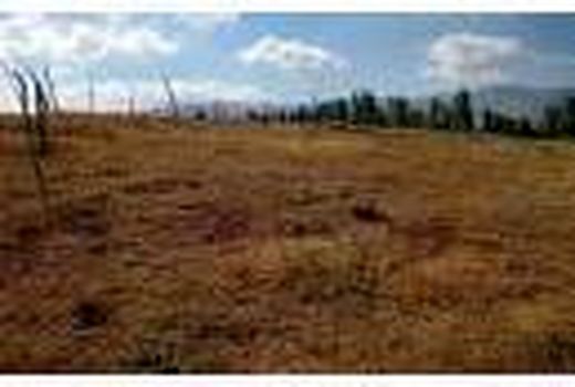 76 هزار مترمربع اراضی بایر در تنکابن به چرخه تولید بازگشت