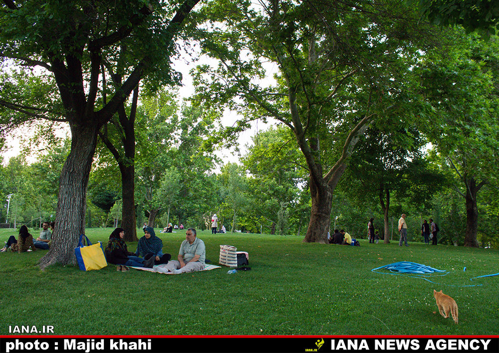 افطار در فضای سبزشهری