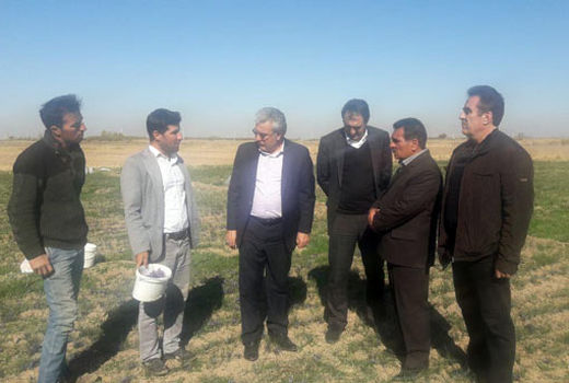 بخش کشاورزی در بحث اشتغال محور اصلی قرار گیرد