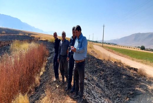 18 هکتار از مزارع گندم اقلید دچار حریق شد