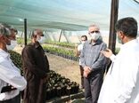 بازدید از پروژه کشت و صنعت مکران در استان سیستان و بلوچستان