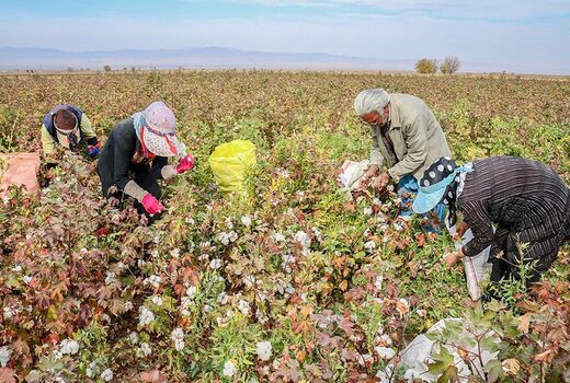 آمایش سرزمین راهگشای بخش کشاورزی