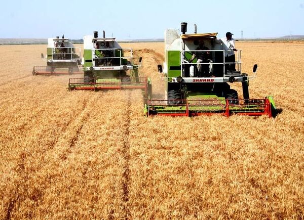 درخواست بنیاد ملی گندمکاران برای جلوگیری از افزایش بی‌رویه قیمت ادوات کشاورزی